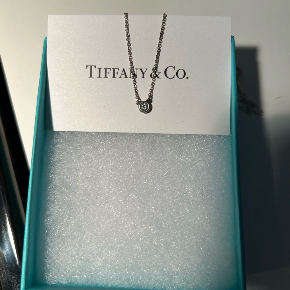 Tiffany & Co. Silver Necklace with Circular Pendant